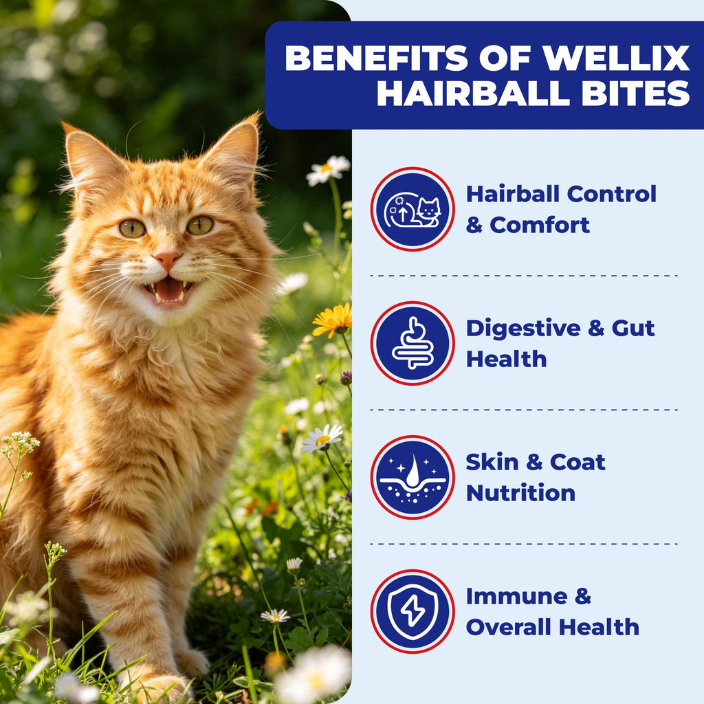 10.58 oz Hairball Bites for Cats P25654