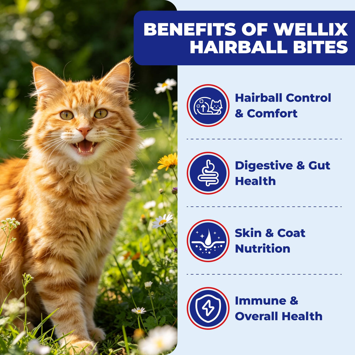 10.58 oz Hairball Bites for Cats P25654