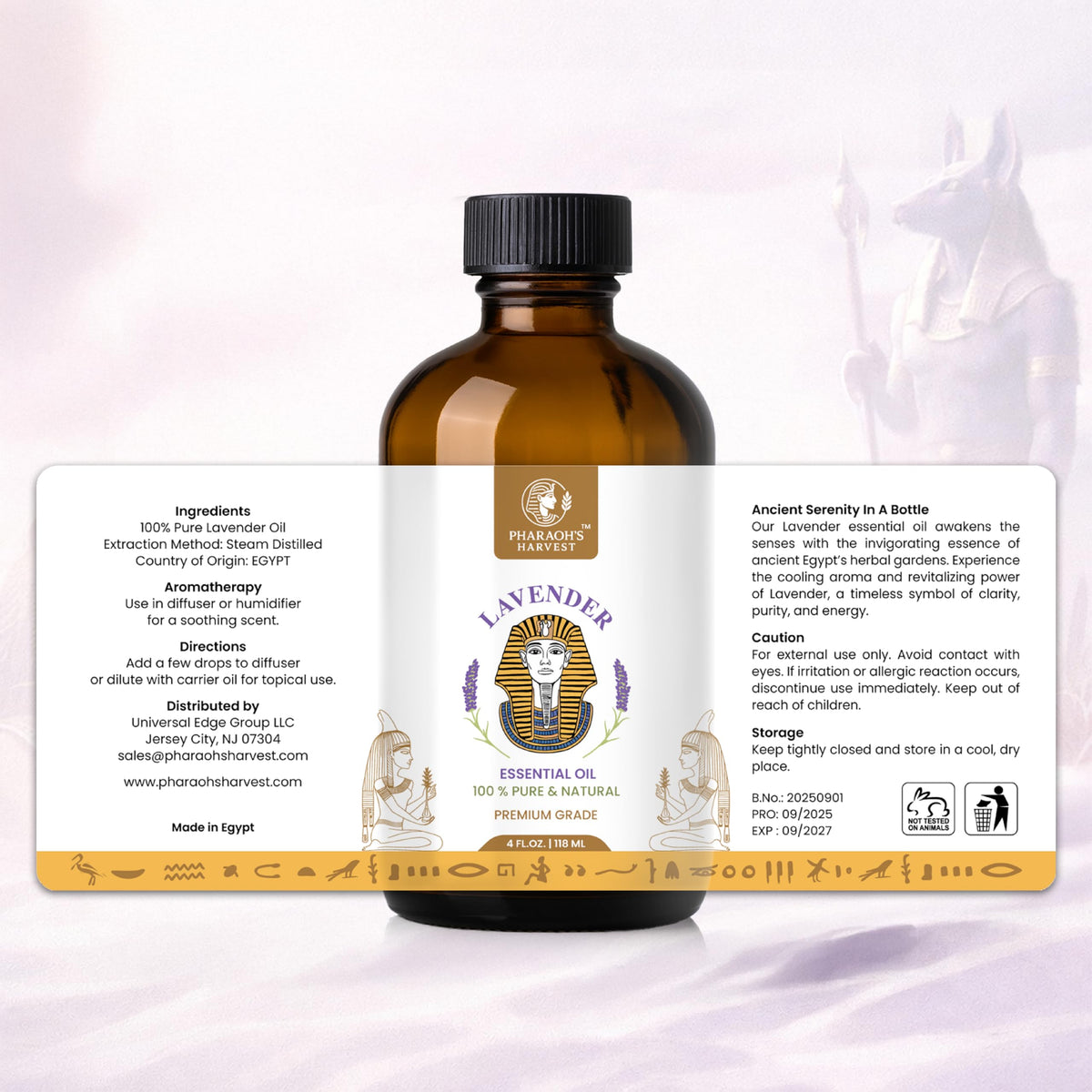 Lavender Essential Oil 4 Fl Oz M163
